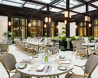 PROMOCIÓN  LIMITADA