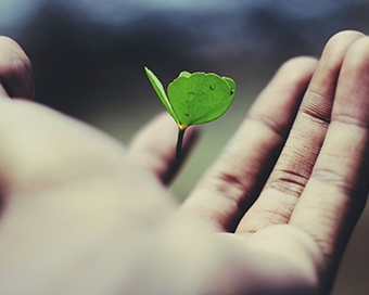 POLÍTICA DE SUSTENTABILIDADE